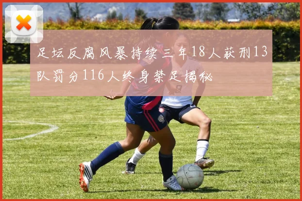 足坛反腐风暴持续三年18人获刑13队罚分116人终身禁足揭秘