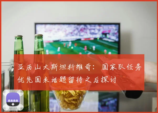 亚历山大斯坦科维奇：国家队任务优先国米话题留待之后探讨